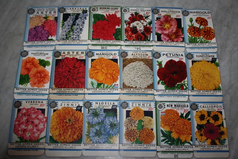 New Find! 18 Vintage 1934 “Better Homes” Flower Seed Packets Crosman Seed Co.