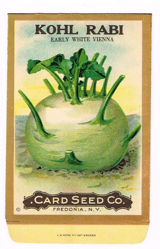 VINTAGE CARD SEED PACKET NEW YORK ANTIQUE C1910 KOHL RABI VIENNA FOLK ART RARE