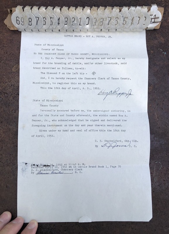 1952 VAUGHAN, MISS. CATTLE BRAND *DIAMOND P* REGISTER LETTER + 19 Old Ear Tags gallery