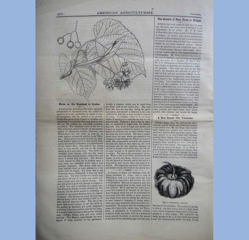 1863 DEC antique AMERICAN AGRICULTURIST farm garden household orange judd gallery
