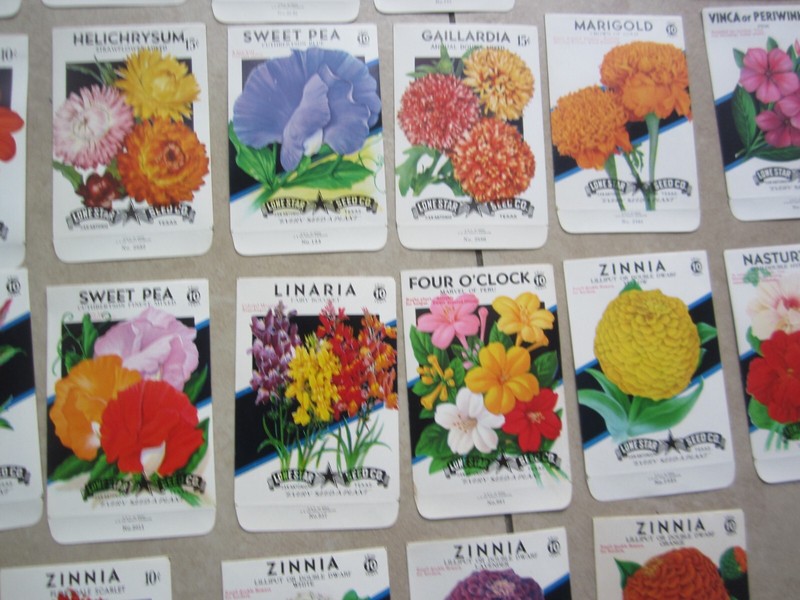 Lot of 38 Old Vintage 1950's - FLOWER SEED PACKETS - Lone Star - EMPTY gallery