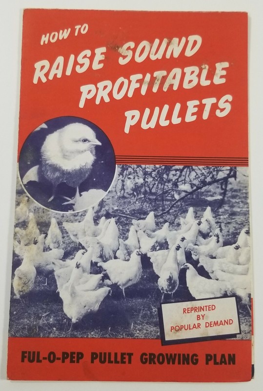 Vintage Ful-O-Pep Grains Feed Pullet Chicks Egg Laying Brochure E2E
