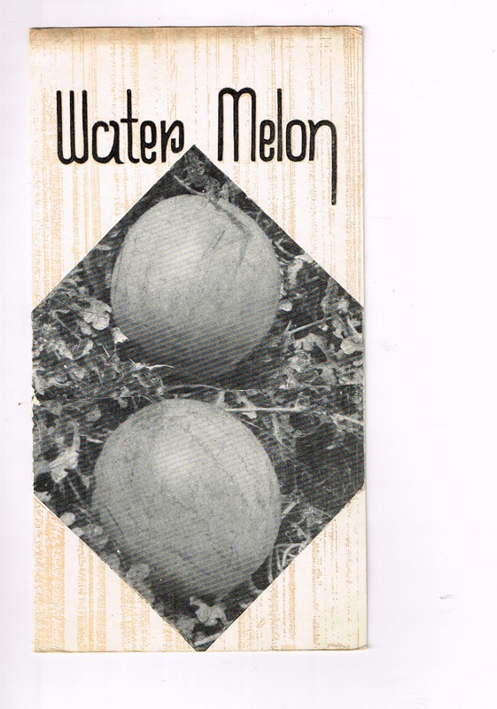 Vintage 1960s Farm Brochure India New Delhi Water Melon