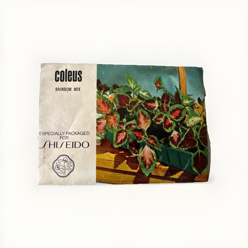 Rare UNOPENED Vintage Shiseido Seed Packet – Coleus Rainbow Mix – Mid Century