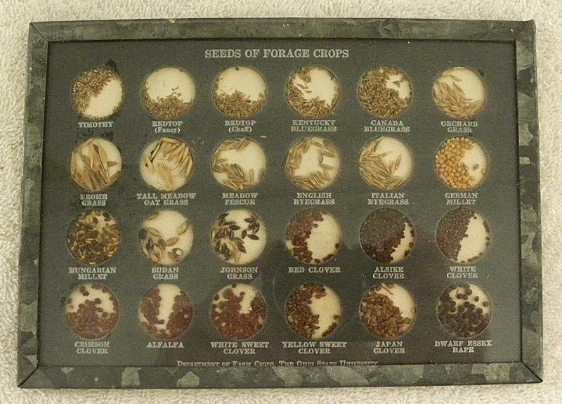 Vintage Glass Frame of Farm Forage Real Crop Seeds, Ohio State University