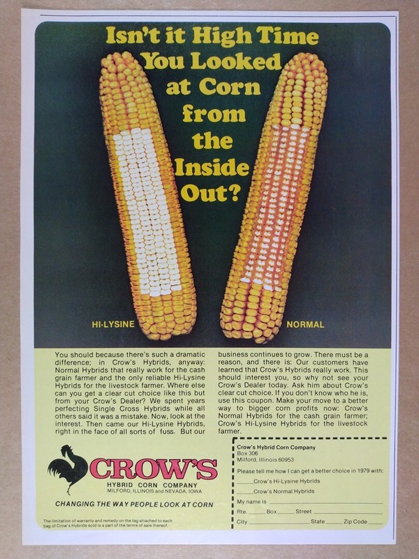 1978 Crow’s Hi-Lysine & Normal Hybrid Corn vintage print Ad
