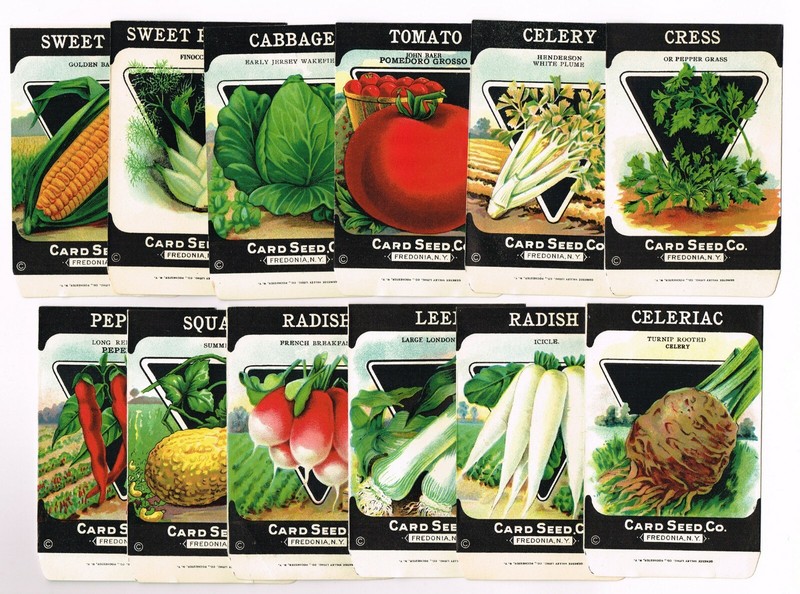 12 VINTAGE SEED PACKET LOT NOS C1920 GARDEN LITHOGRAPH GENERAL STORE PACK COLORS