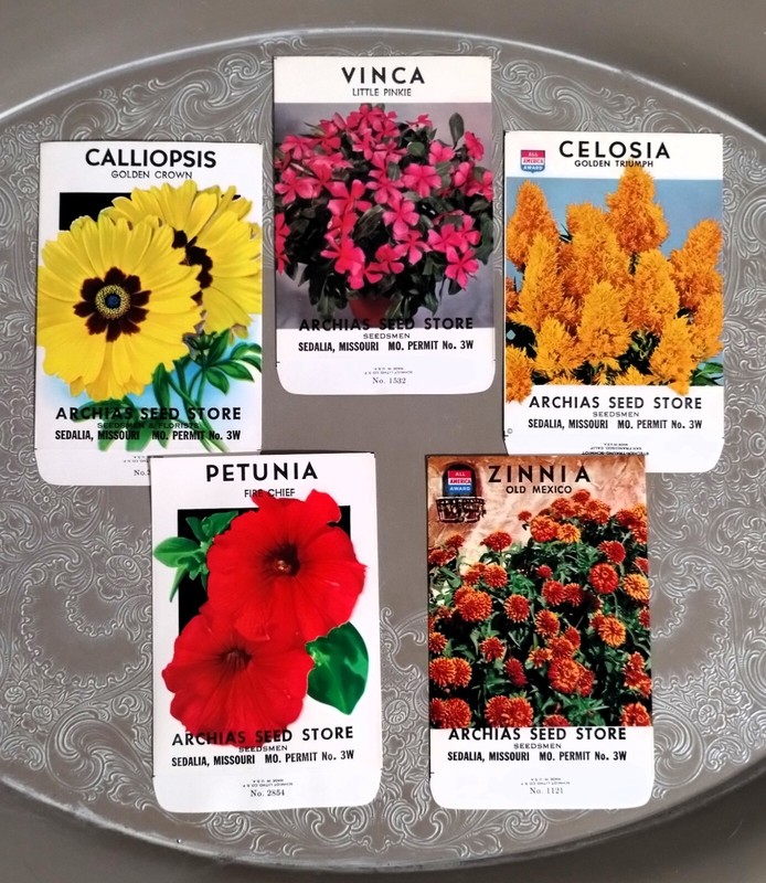 Lot: 5 Vintage Unused Lithographed Flower Seed Packets; Schmidt Litho Co. NOS
