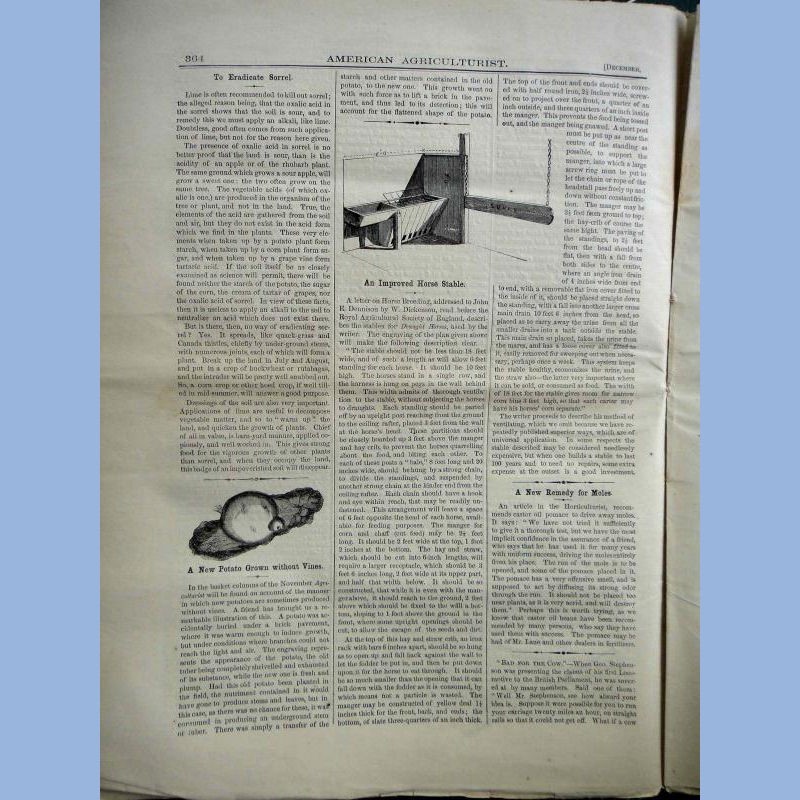 1863 DEC antique AMERICAN AGRICULTURIST farm garden household orange judd gallery