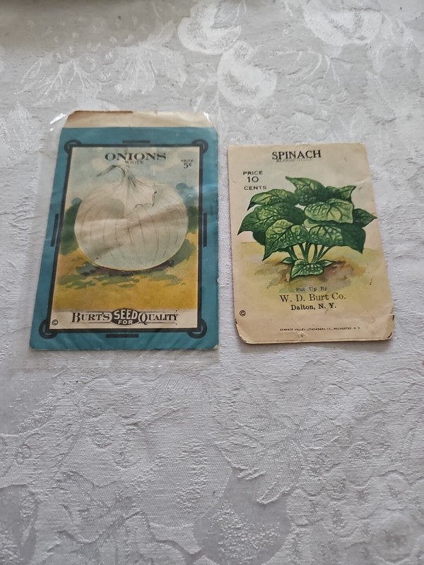 *Original* BURTS SEED 5 Cent Packet ONIONS WHITE Spinach Vegetable 1910’s *RARE*