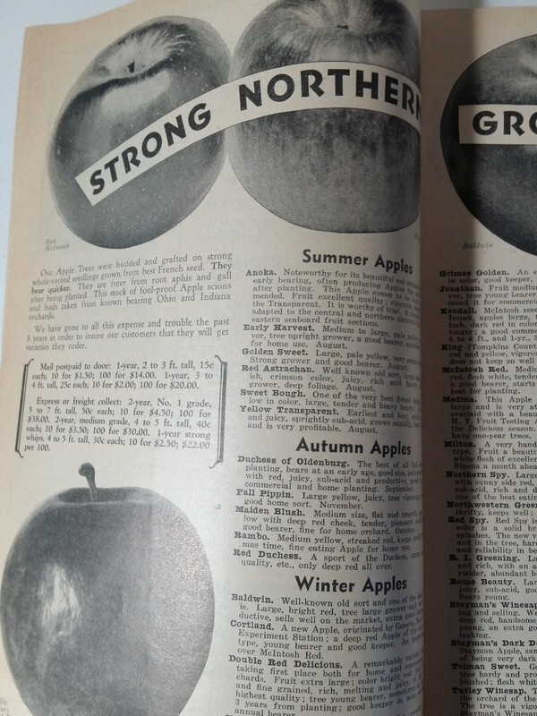 1939 Allen's Nurseries and Seed House Catalog Geneva OH Ohio Hale-Haven Peach gallery
