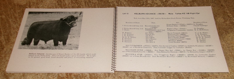 1948 bankers kelburn farm st. norbert, manitoba ca. shorthorn sales booklet used gallery