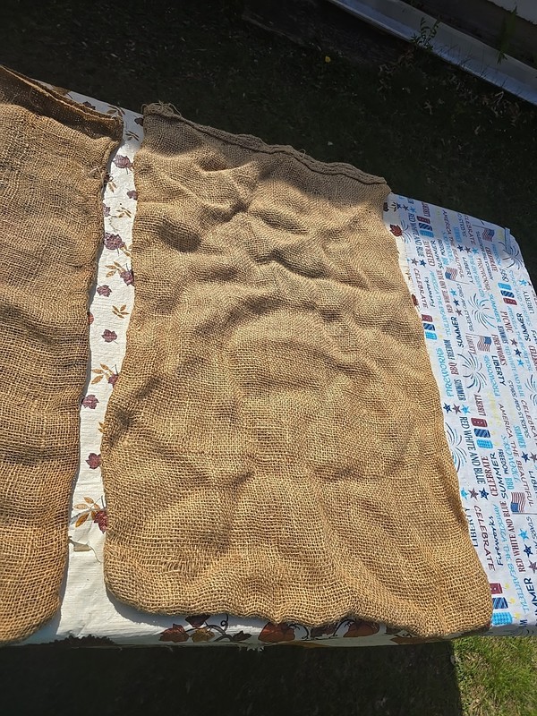 2 Vintage 50 Lbs Burlap Bags Northern Flight & North Country Potato Gunny Sacks gallery
