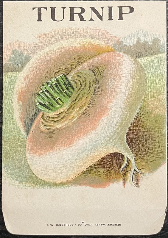 c1910-15 Vegetable Seed Packets Vintage – Genesee Valley Litho. Co.