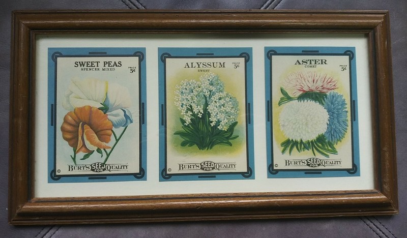 Vintage Framed Wall Art Burt’s Seeds Sweet Peas Alyssum Water With COA gallery