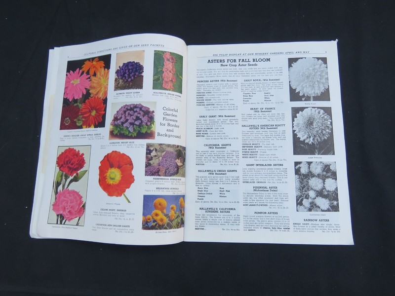 Vintage 1947 HALLAWELL Seed Plant Catalog San Francisco CA Color Scarce gallery