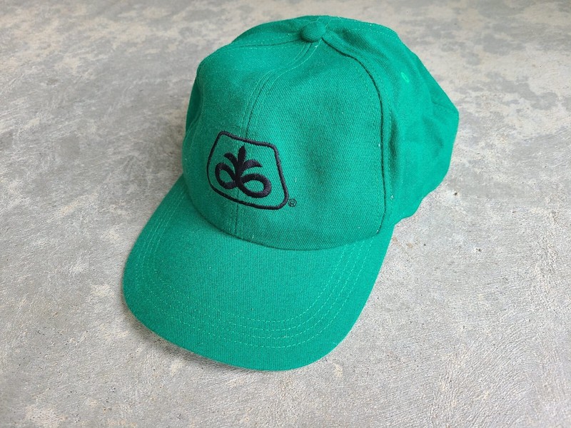 Pioneer Seed Hat “Technology That Yields” Green Hat Made USA Snapback