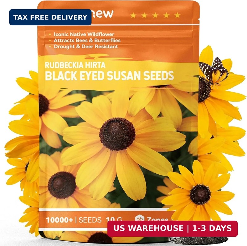 Black Eyed Susan Seeds for Planting | 30,000+ Heirloom Seeds, Flower Seeds for G