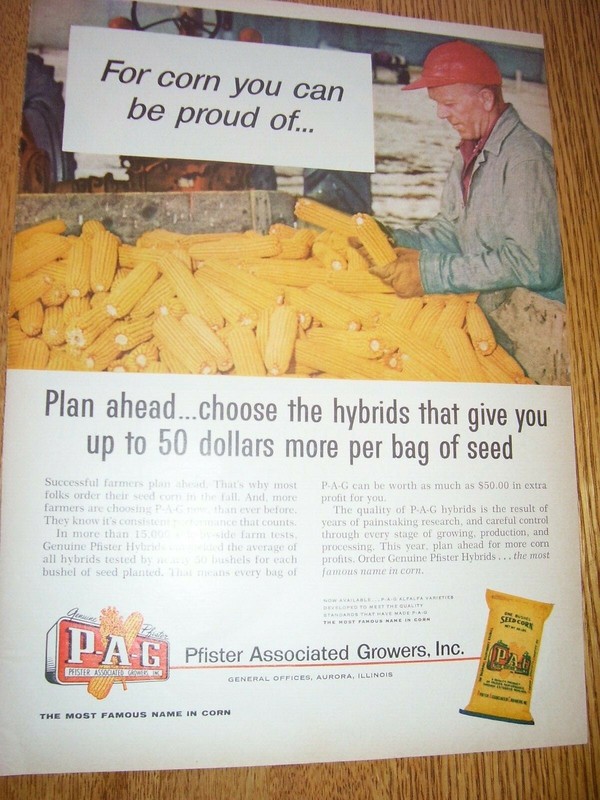 VINTAGE SEED CORN ADVERTISING PAGE-PFISTER SEED CORN -AURORA , ILL-1960