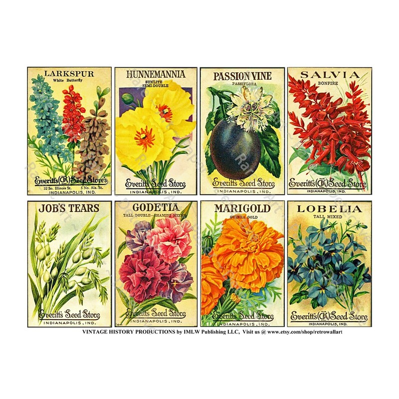 Seed Packet & Gardening Gifts, Garden Sticker Reproductions, Vintage Seed Art gallery