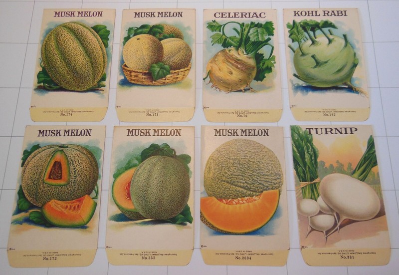 8 Vintage Musk Melon & VEGETABLE SEED PACKETS (G16)-Galloway Litho-2 3/4″x4 3/8″