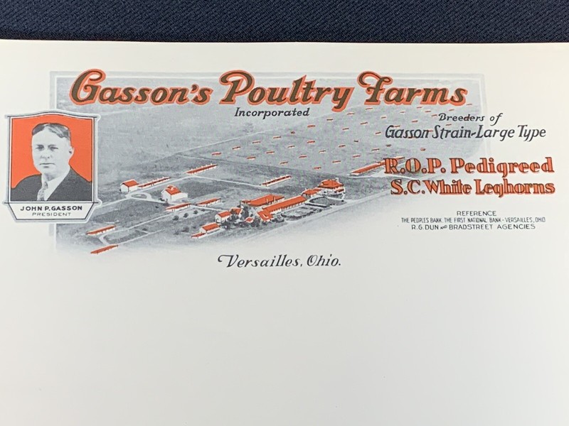 20 Vintage Letterhead GASSON’s POULTRY FARMS Ped. White Leghorns Versailles Oh