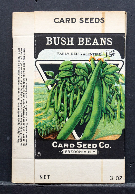 Vintage 1920s -1930s Card Seed Co. Early Red Valentine Bush Beans Empty Seed Box