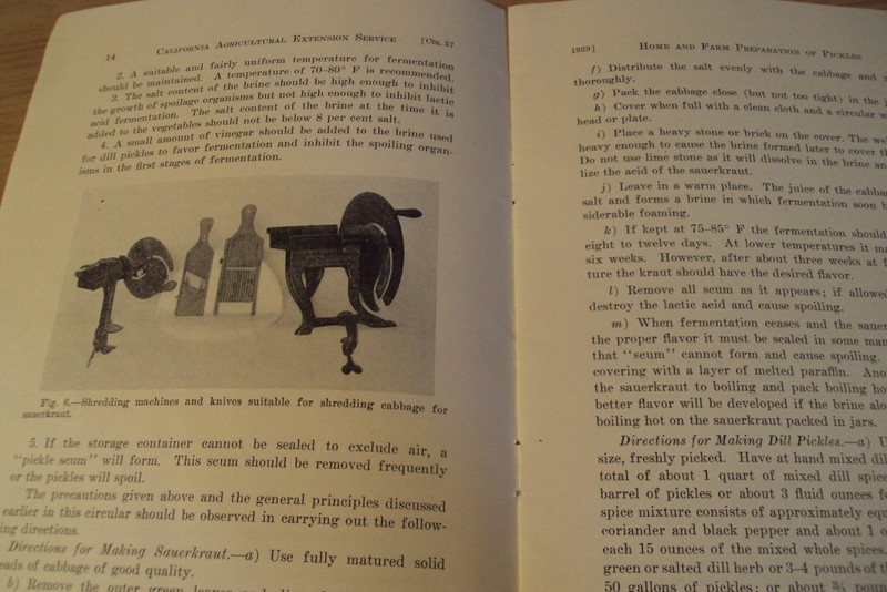 1929 UC Berkeley AGRICULTURAL Circular~"HOME and FARM Preparation of PICKLES"~ gallery