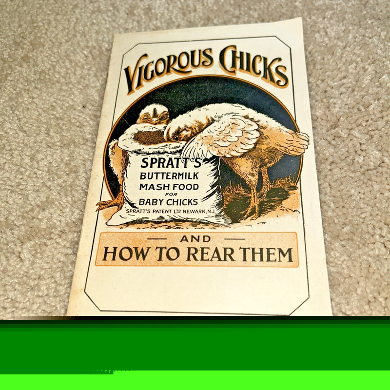 1930s SPRATT’S BUTTERMILK MASH FOOD for BABY CHICKS Brochure VIGOROUS CHICKS