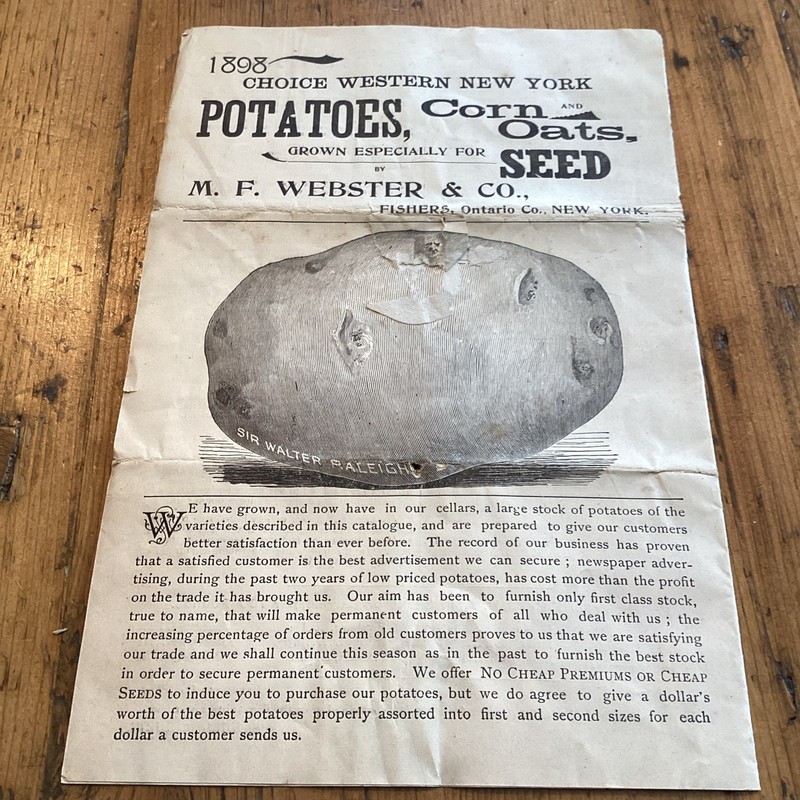 1898 Catalog order form potatoes corn and oats for seed M.F. Webster & Co.