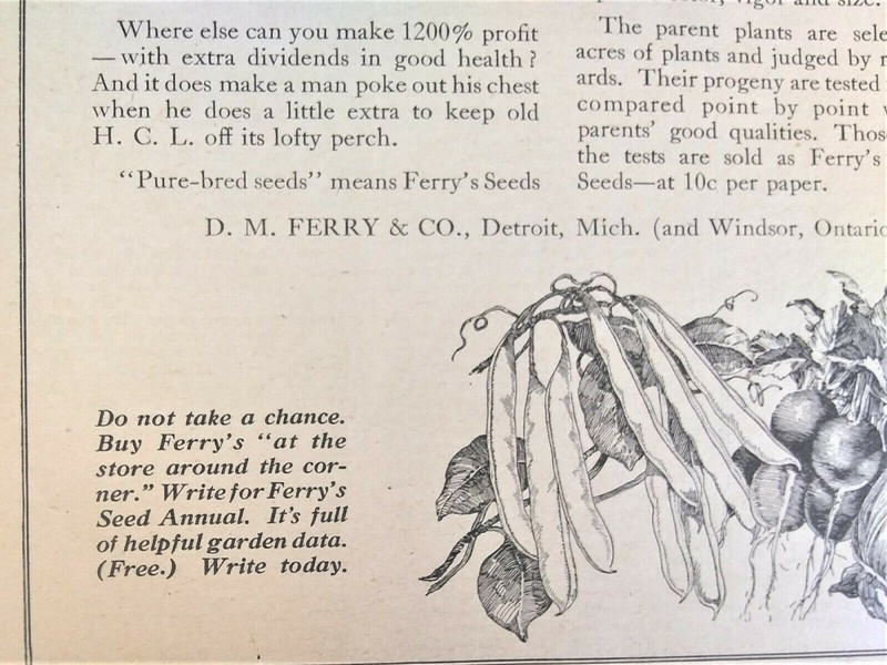 192 Ferry's Pure Bred Seeds, 1200% Profit From Your Garden gallery