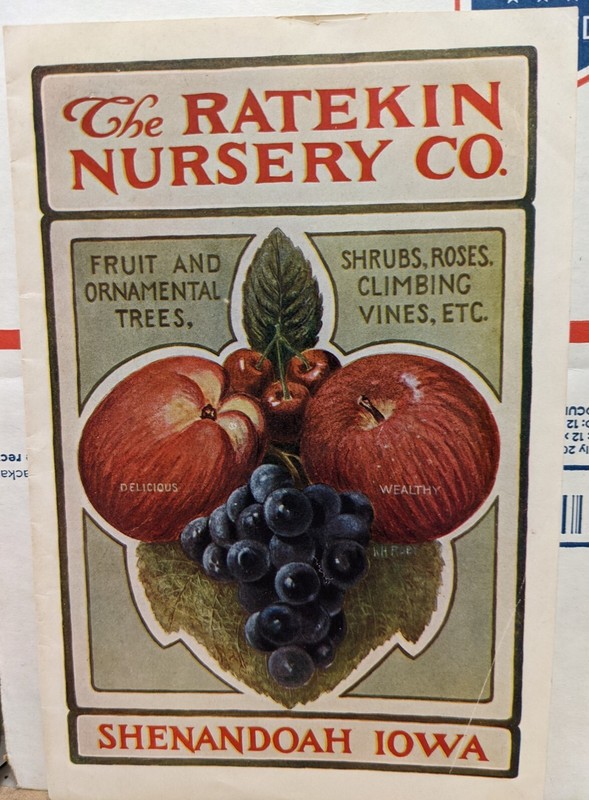 2 Antique Ratekin Nursery Co. Shenandoah Iowa IA Catalog Covers Only 1910's gallery