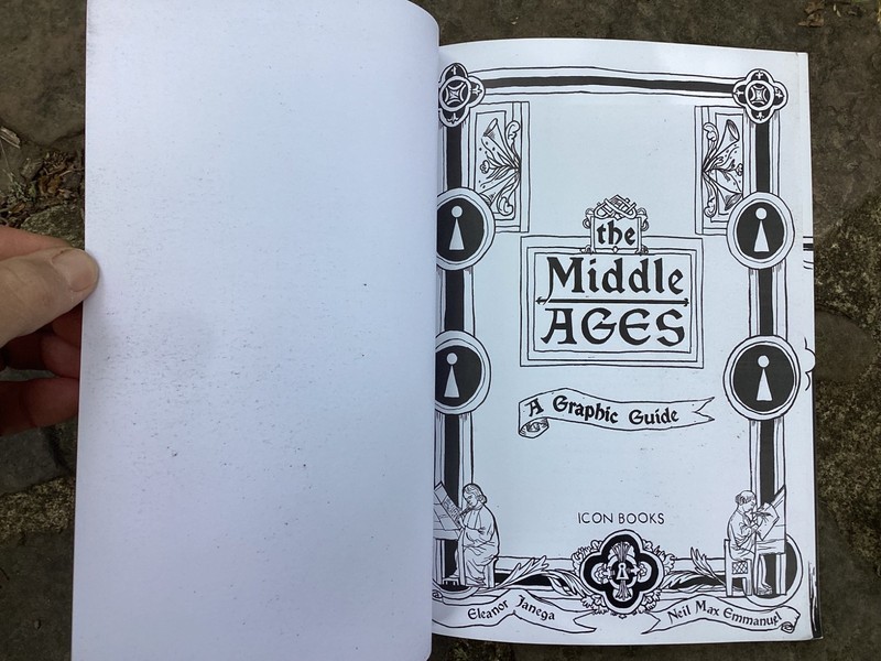 Original 2021 The Middle Ages A Graphic History Icon Books Eleanor Janega gallery