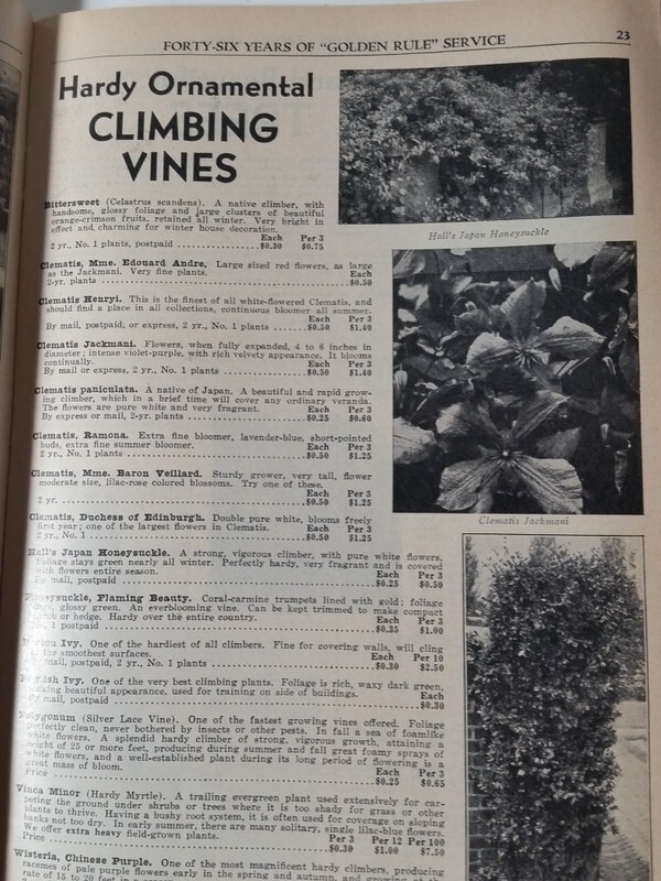 1939 Allen's Nurseries and Seed House Catalog Geneva OH Ohio Hale-Haven Peach gallery