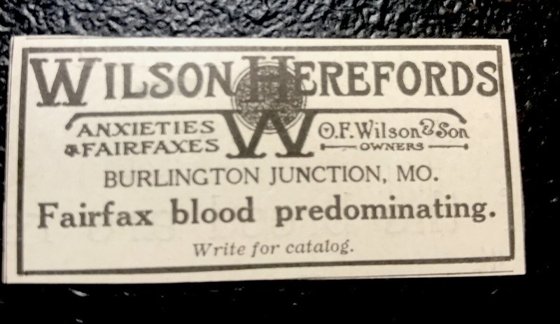 1919 O.F. Wilson & Son Cattle Advertising – Burlington Junction – Miss – Cow