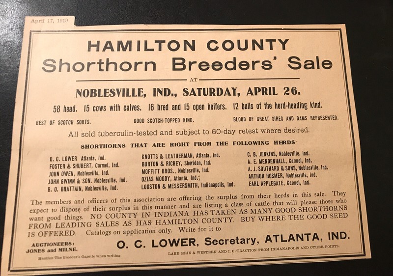 1919 Shorthorn Breeders Cattle Public Sale - Cow - Noblesville - Indiana