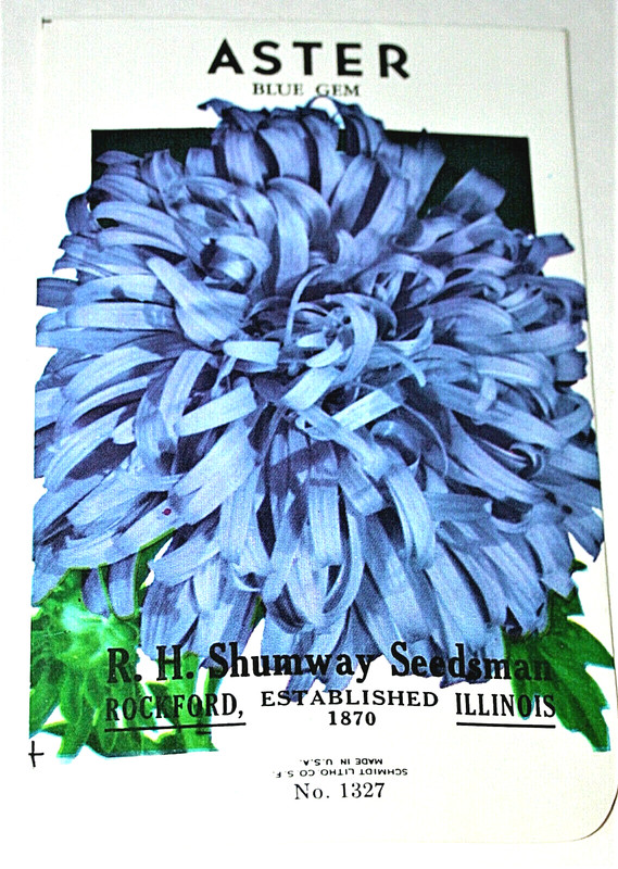 Aster Blue Gem Flower RH Shumway Empty Seed Packet NOS New 1950s Rockford,IL