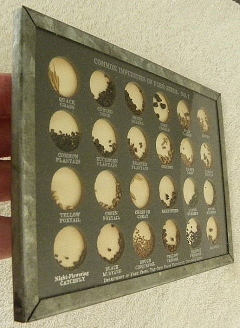 Vintage Glass Frame of Impurities-Weeds in Farm Crop Seeds,Ohio State University gallery