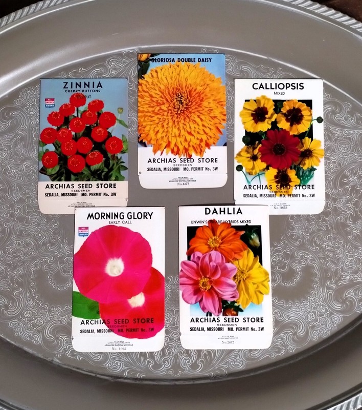 Lot: 5 Vintage Unused Lithographed Flower Seed Packets; Schmidt Litho Co. NOS