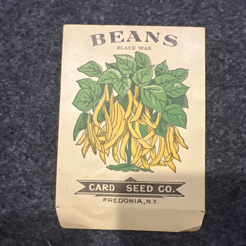 Vintage Card Seed Company Packet – Early 1900s – Wax Beans – Empty