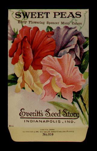 1918 SWEET PEAS LITHO SEED PACKET SMALL RARE, EVERITT’S SEED, INDIANAPOLIS,IND
