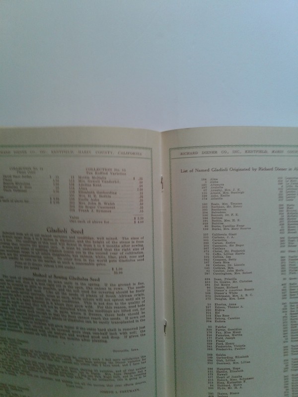 Vintage Garden Richard Diener Company Flower Catalogue. gallery