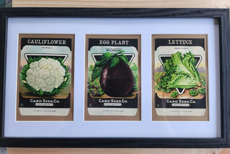 Framed 1920’s-30’s Vintage Seed Packets, Card Seed Co - Fredonia NY gallery