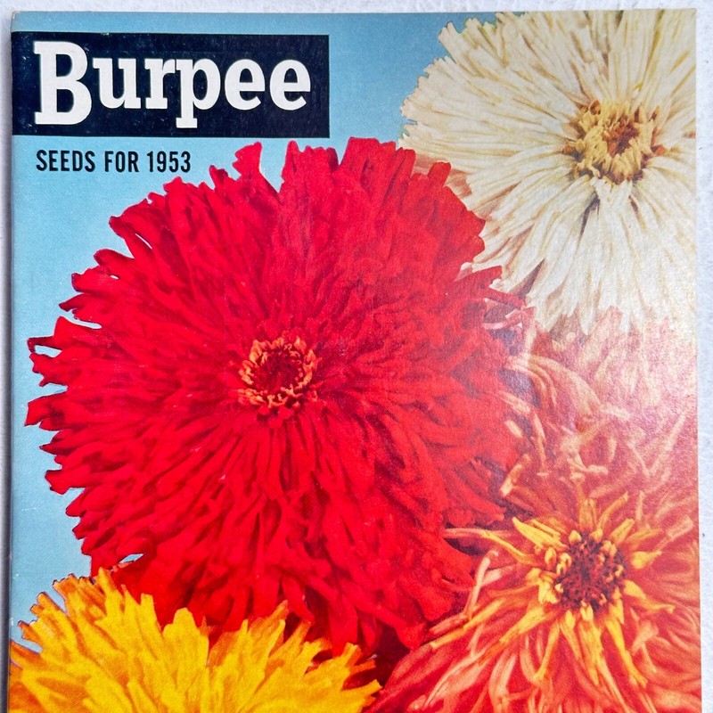 1953 Burpee Seeds for 1953 COLOR ILLUSTRATED Catalog Flowers Vegetables