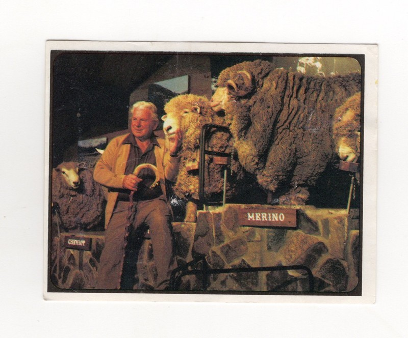 Sanitarium NZ Wool Card #05 Godfrey Bowen at the Agrodome, Rotorua