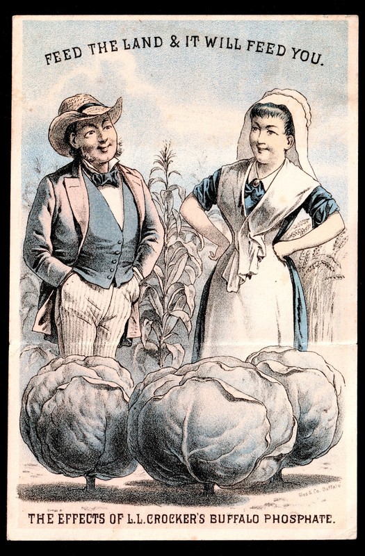 Fantasy Farm Buffalo Bone Fertilizer 1880 Calendar Victorian Trade Card SR.f.fBP gallery