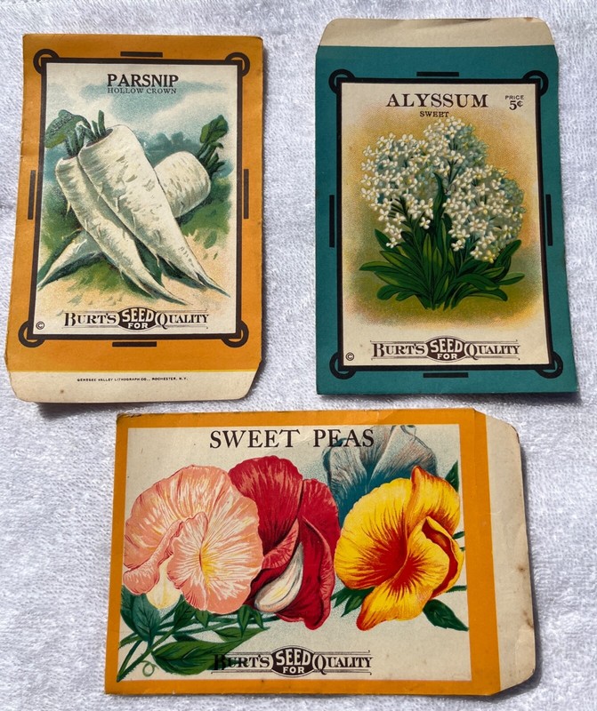 Antique c. 1910-15 Burt’s Seed For Quality Empty Flower/Veg (3) Packets