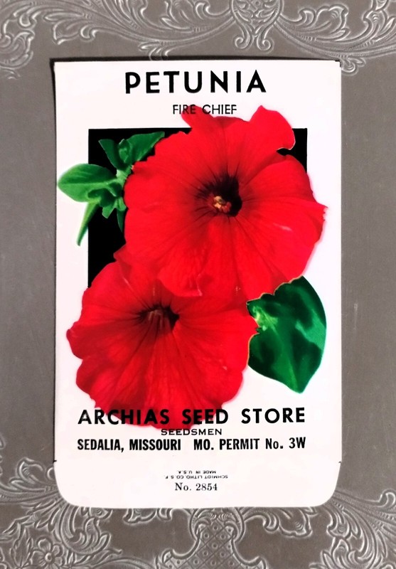 Lot: 5 Vintage Unused Lithographed Flower Seed Packets; Schmidt Litho Co. NOS gallery