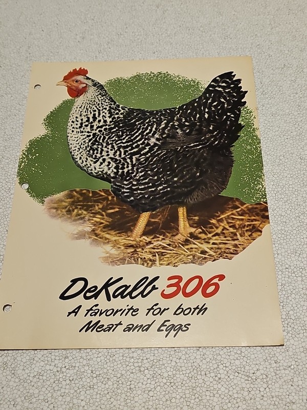 ORIGINAL DEKALB 306 CHIXS ADVERTISING SPEC SHEET
