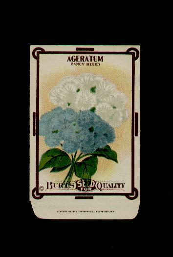 ANTIQUE 1910’s BURT’S AGERATUM LITHO SEED PACKET ~L@@K~